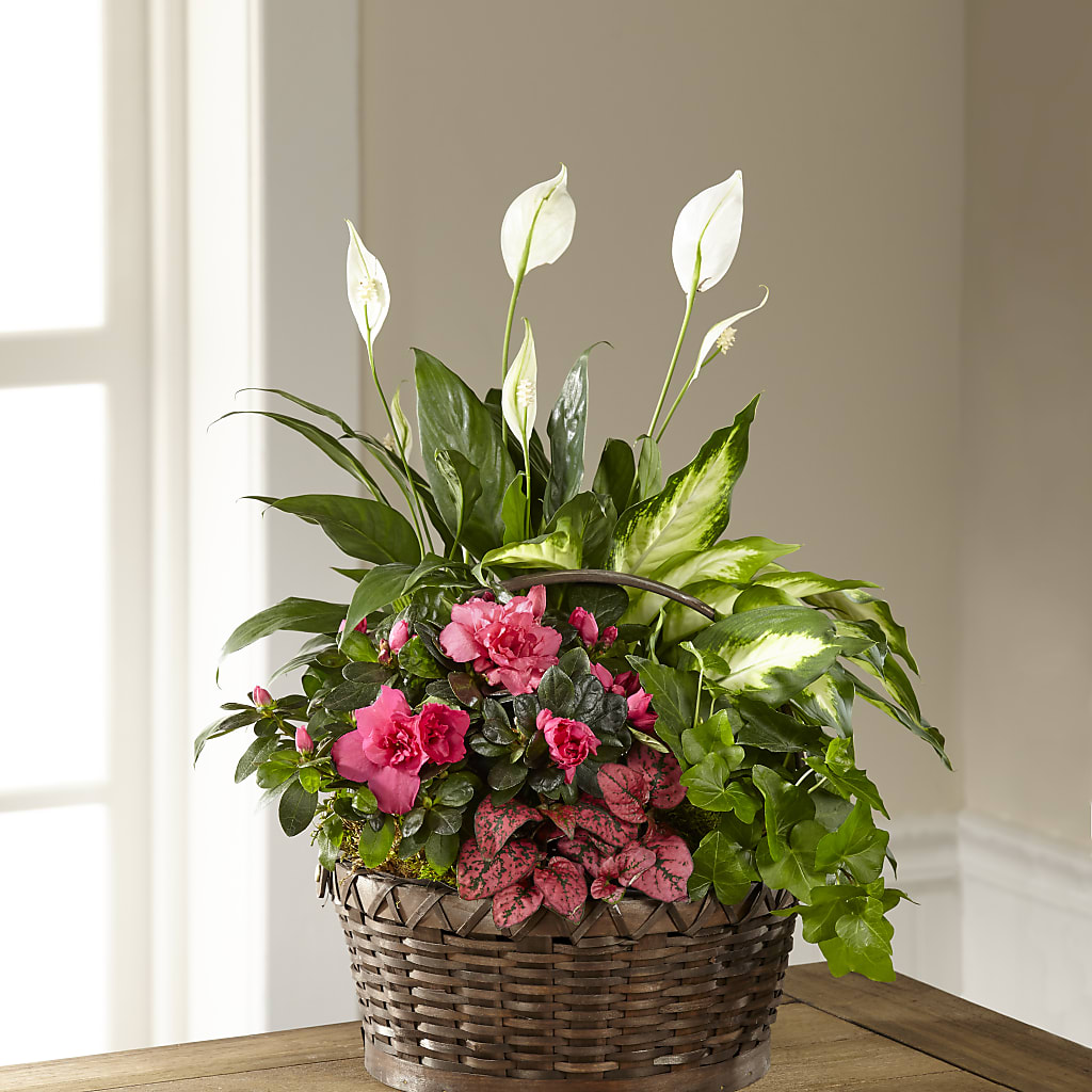 Dream in Pink Dishgarden – Blooms By Sandy, Lebanon IN