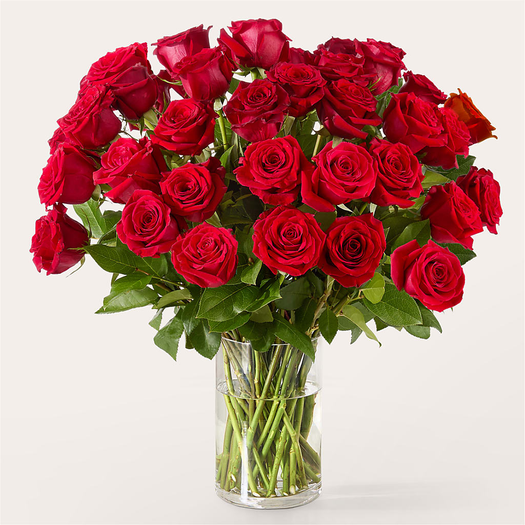The One Red Rose Bouquet – Blooms By Sandy, Lebanon IN