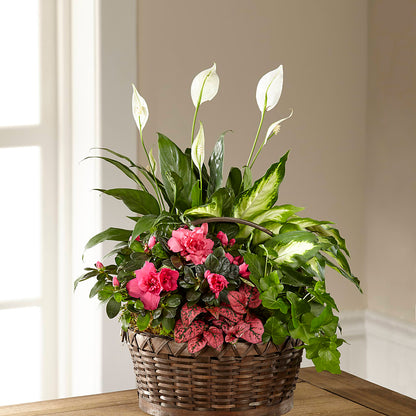Dream in Pink Dishgarden –  Blooms By Sandy, Lebanon IN