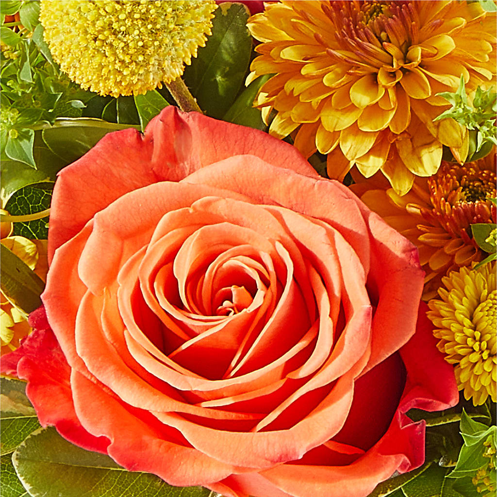 Gourdgeous Pumpkin –  Blooms By Sandy, Lebanon IN