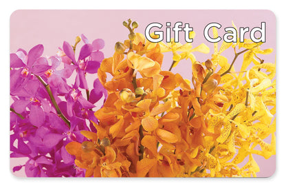 Gift Card –  Blooms By Sandy, Lebanon IN