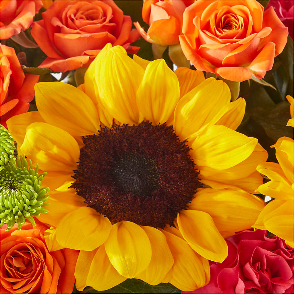 Sun-drenched Blooms Box Bouquet –  Blooms By Sandy, Lebanon IN
