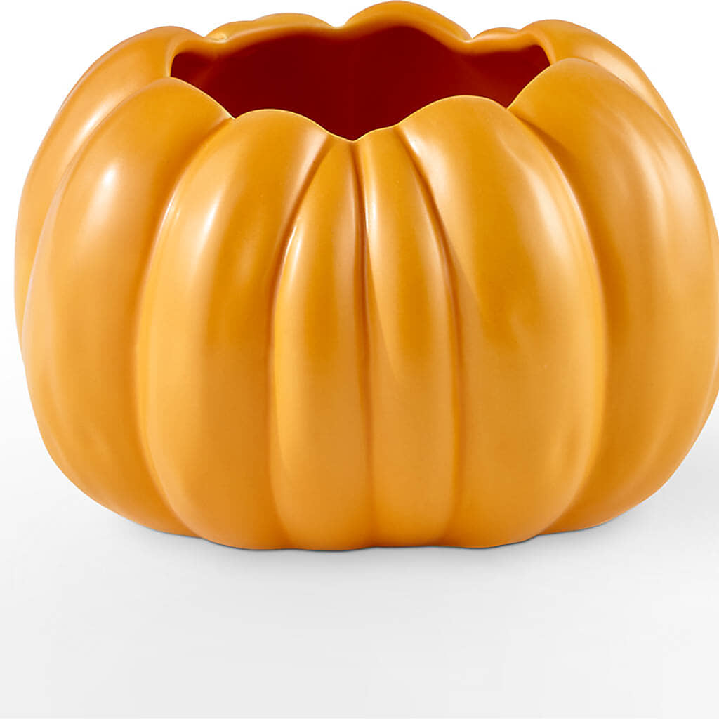 Pick of the Patch Pumpkin Bouquet –  Blooms By Sandy, Lebanon IN