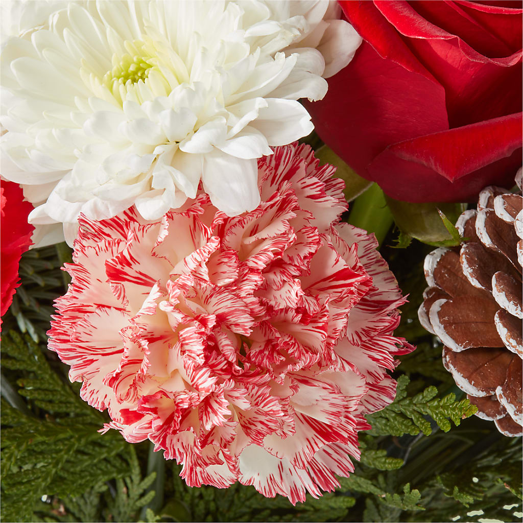 Candy Cane Lane Bouquet –  Blooms By Sandy, Lebanon IN
