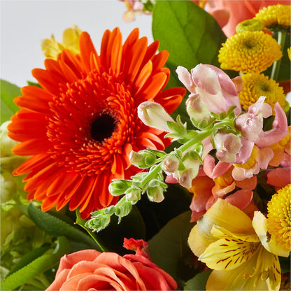 Autumn Sunshine Bouquet –  Blooms By Sandy, Lebanon IN
